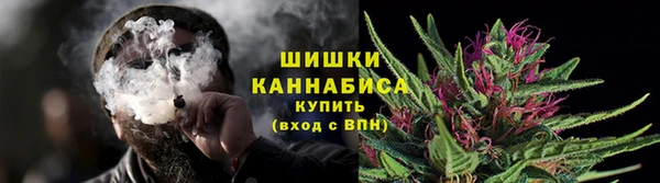 гидра Пестово
