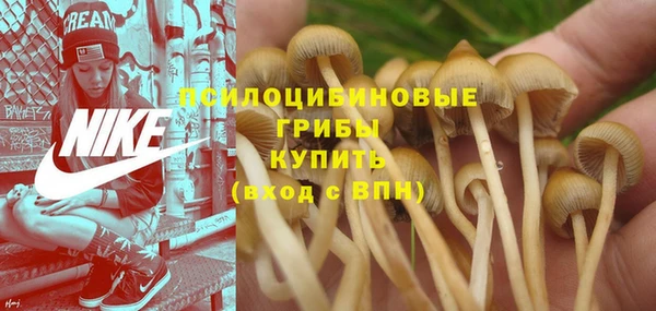 гидра Пестово